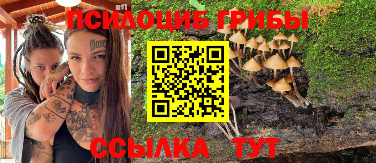 Псилоцибиновые грибы Cubensis  где продают   Вход с VPN  Шали  Псилоцибиновые грибы Psilocybine cubensis 